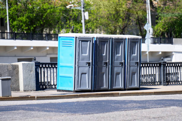 Best High-end porta potty rental  in Ladysmith, WI